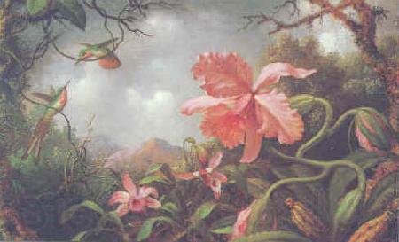 Martin Johnson Heade Hummingbirds and Two Varieties of Orchids